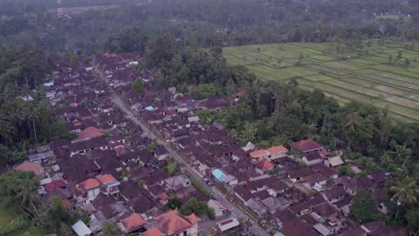 Wide-shot-of-traditional-residential-neighborhood-in-small-town-in-Bali,-Indonesia,-aerial