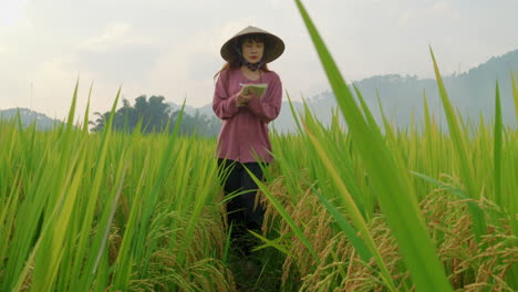 Joven-Agricultora-Revisando-El-Campo-De-Arroz-En-Asia-Usando-Sombrero-Chino-Y-Tomando-Nota-Con-Cuaderno-Y-Bolígrafo,-Vista-De-ángulo-Bajo