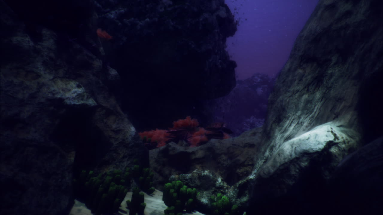 Underwater exploration reveals vibrant corals and rocky structures