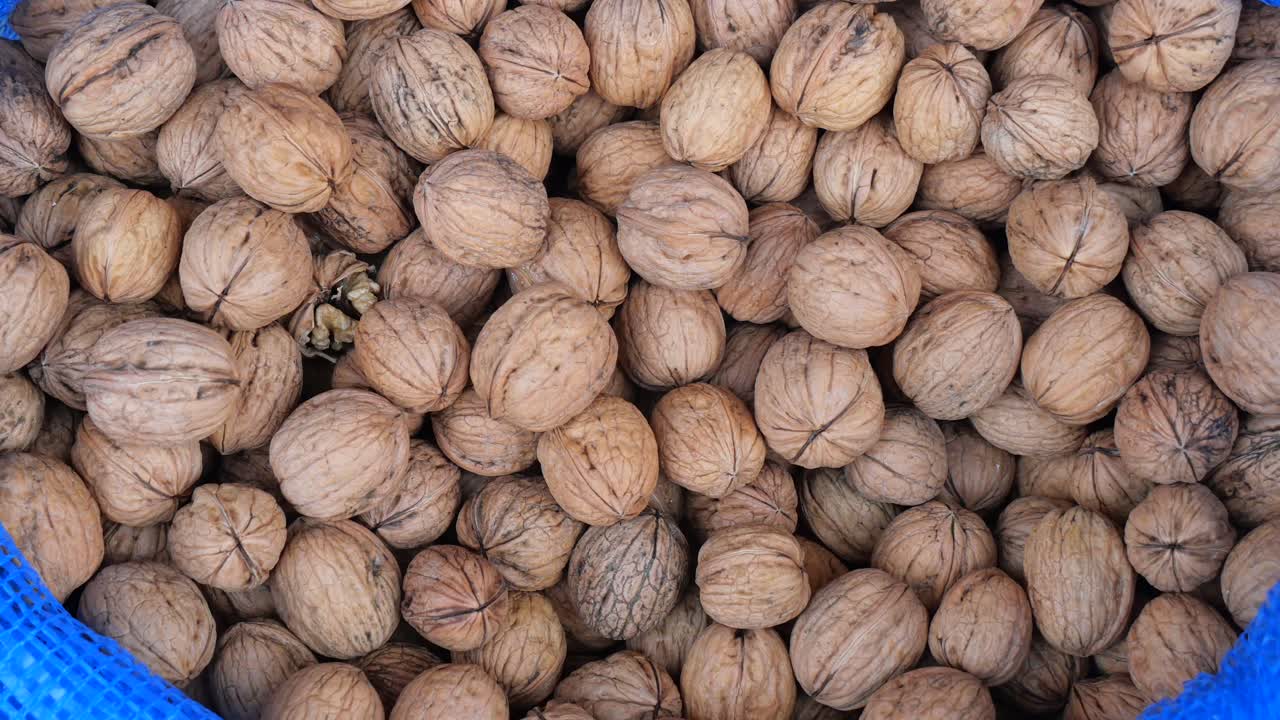 Pila di noci fresche con guscio in un sacchetto a rete blu