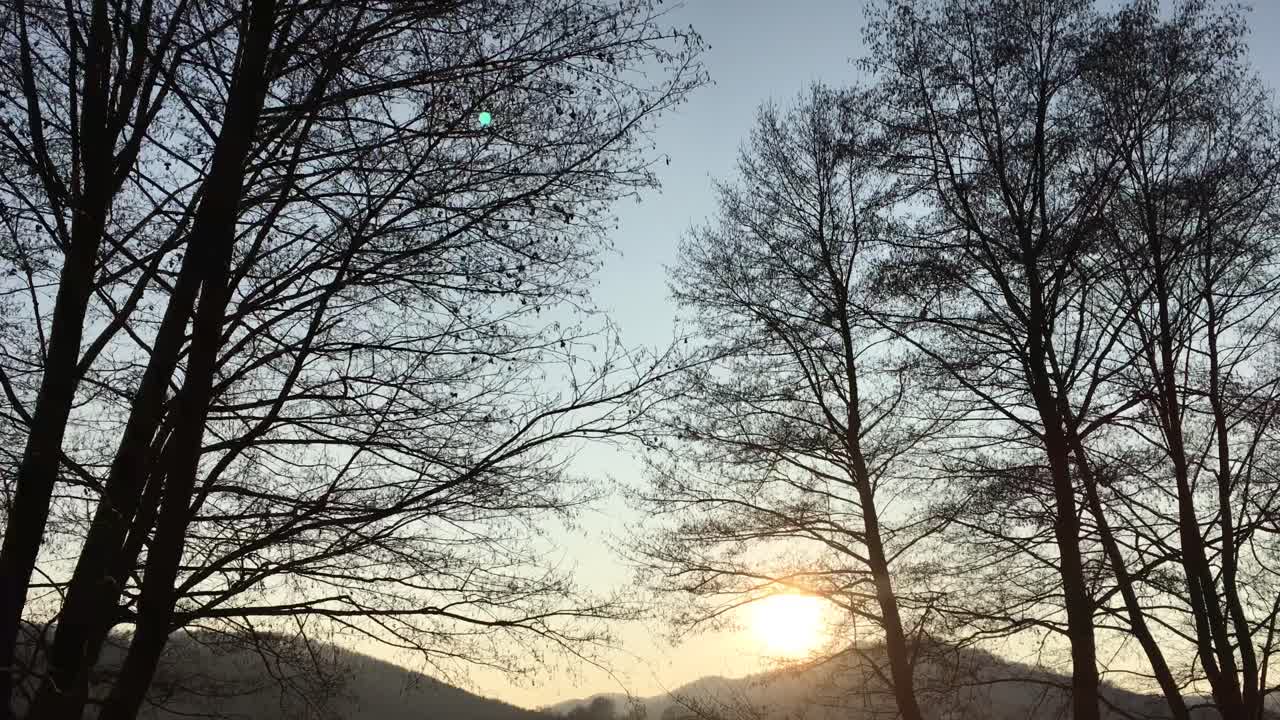 이른 봄 시즌, 일몰에서 오는 아름다운 빛과 함께 숲길을 걷다