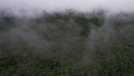 aerial view of clouds and fog above dense green rainforest and wilderness