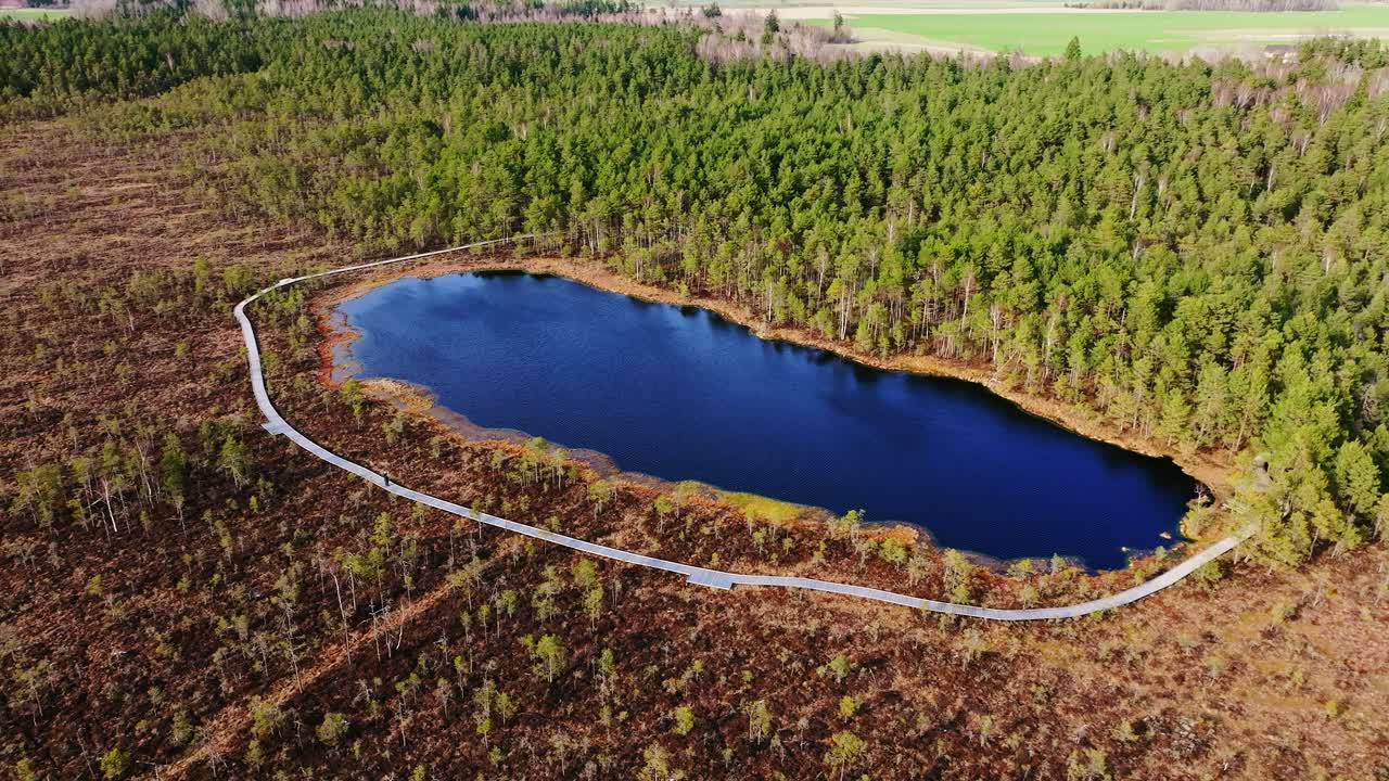 Drone shot reveals secluded lake wrapped in forest along Kalnansu trail, Latvia