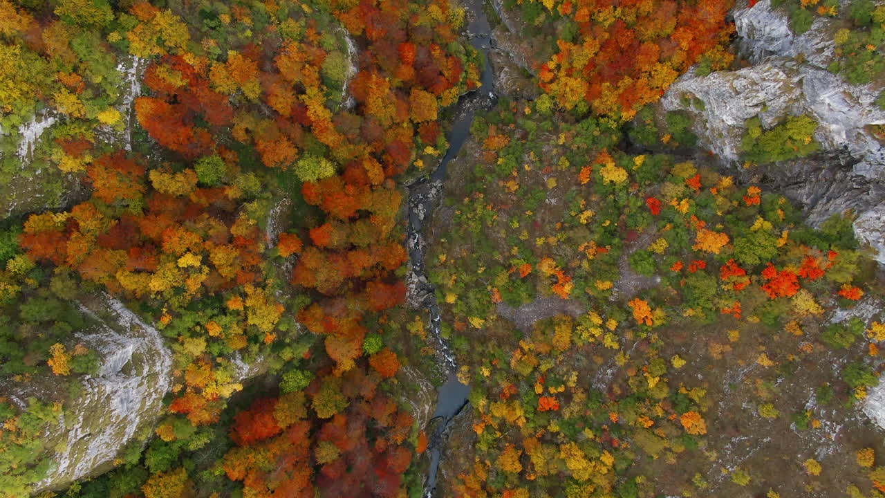 Aerial view of colorful autumn trees beside a stream Leaves are yellow orange and green A rock formation is visible