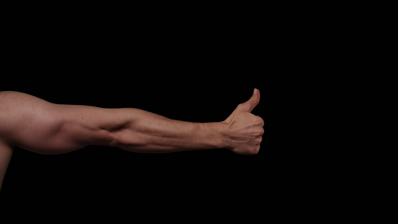 gestos de la mano con el canal alfa