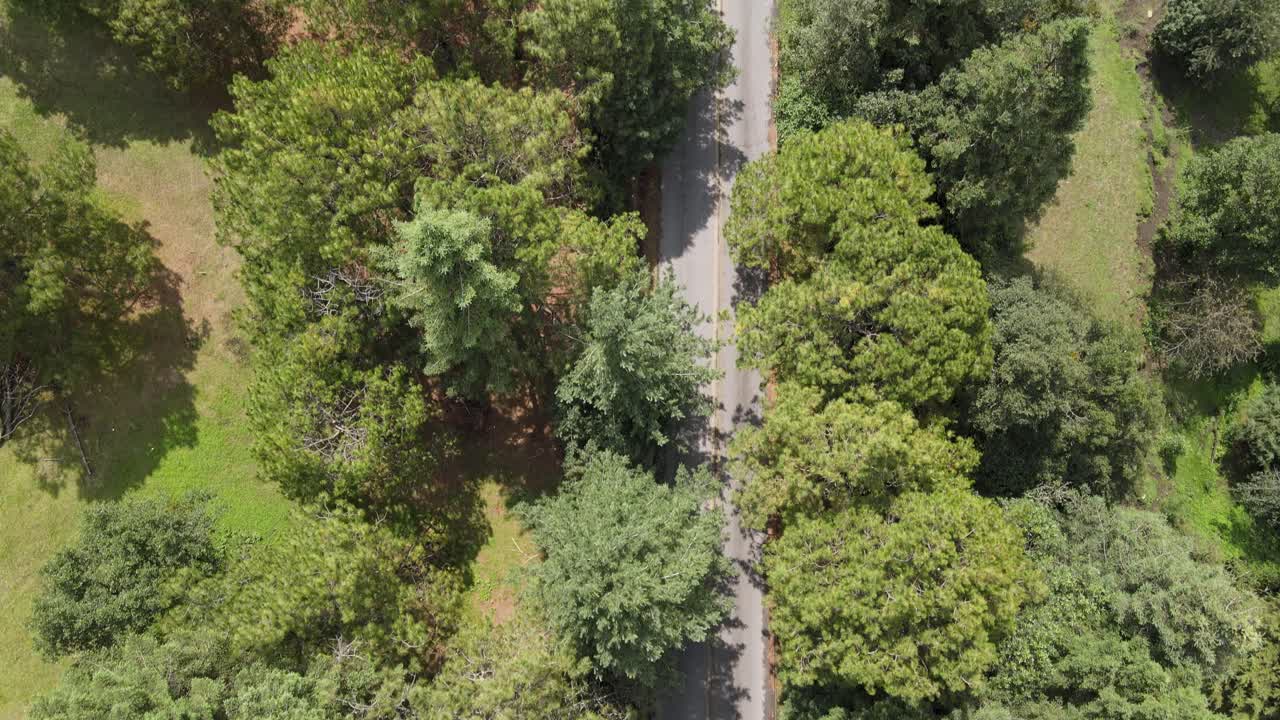 森の真ん中で道路を横切る青い車の台車を傾けた天頂の眺め