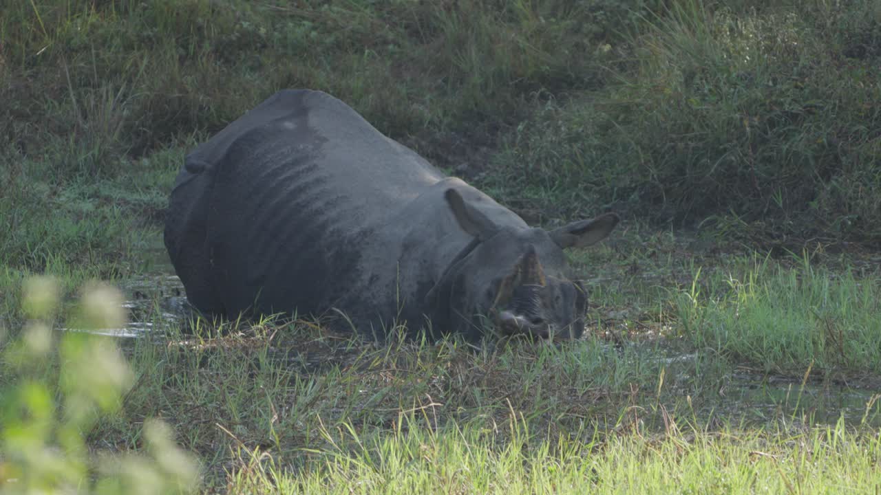 네팔의 한  코소