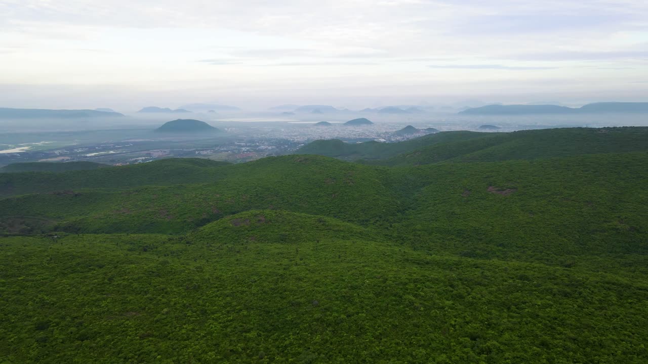 Aerial drone shot of a lush green forest in Vizag, nestled in the mountains, with the vast ocean as its backdrop.