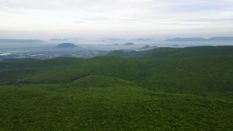 aerial drone shot of a lush green forest in vizag, nestled in the mountains, with the vast ocean as its backdrop.