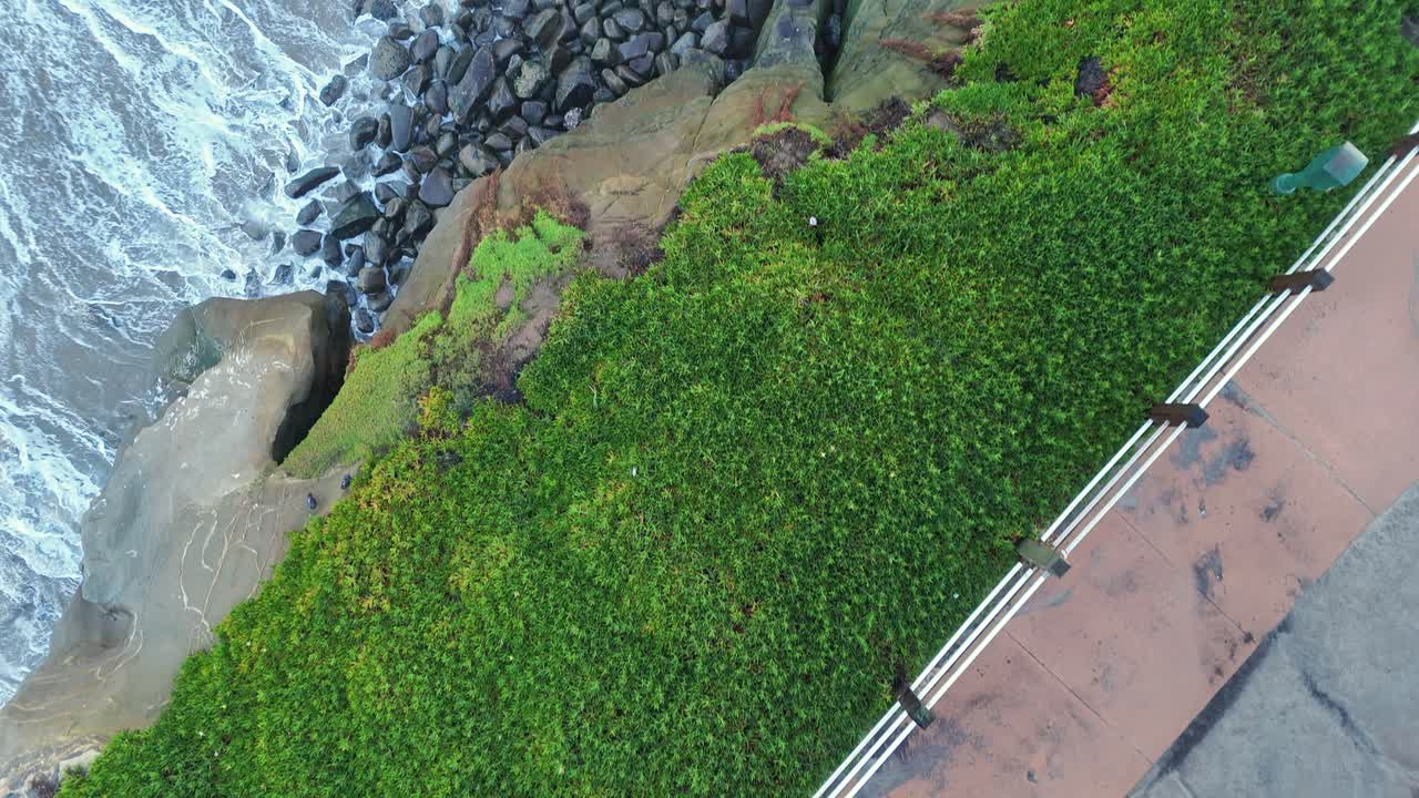 la jolla cove 드론은 파크 산책로에서 바위 절벽을 가로질러 바다로 이동합니다.