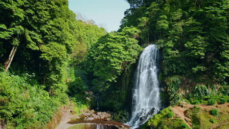 la cascada de la selva tropical fluye disparado por un avión no tripulado. pintoresco paisaje de bosque verde.