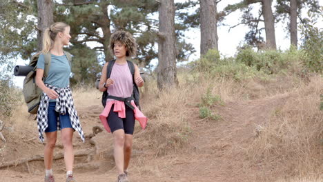 two women are hiking on a dirt trail surrounded by trees and shrubbery with copy space