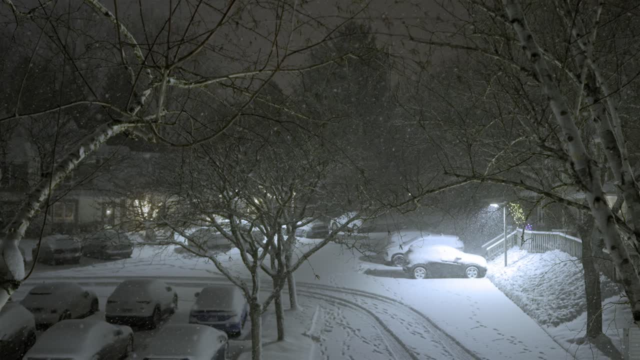 Snowfall in a winter night on parking cars, static shot, neighborhood, snowflakes falling in dark, branches of trees, looking from a higher spot