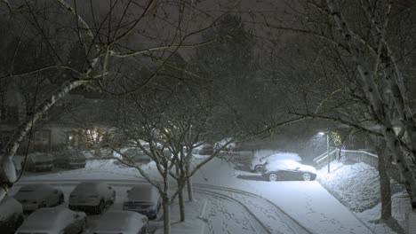 Snowfall in a winter night on parking cars, static shot, neighborhood, snowflakes falling in dark, branches of trees, looking from a higher spot