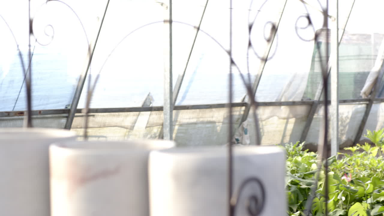 Potted plants with vibrant flowers displayed on decorative metal shelf in greenhouse
