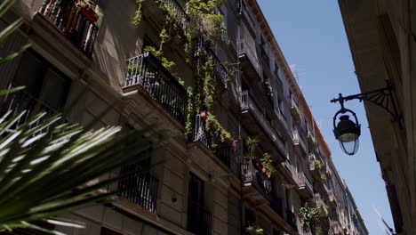 sunny barcelona street view with traditional balconies adorned with vibrant flowers