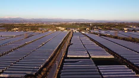 Greenhouses-farming