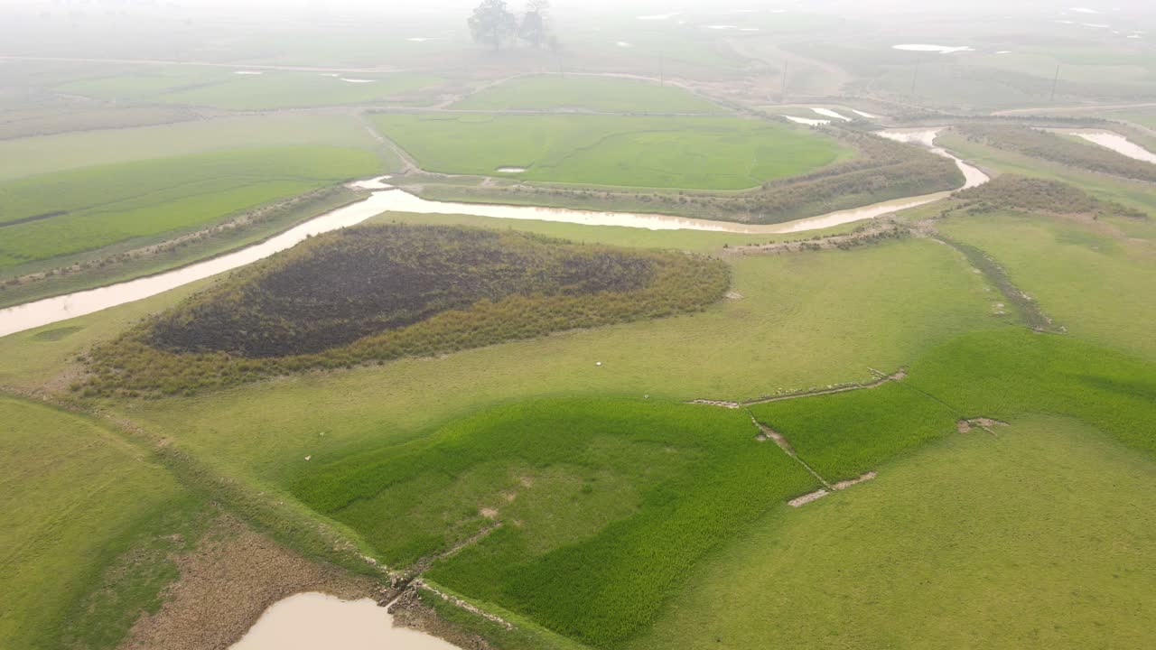 방글라데시 농지 공중: 안개가 자욱한 아침에 불에 탄 땅과 운하