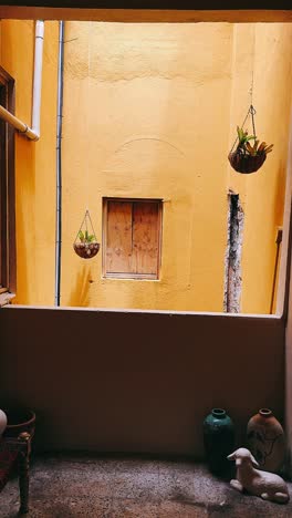 interior courtyard with plants and decor