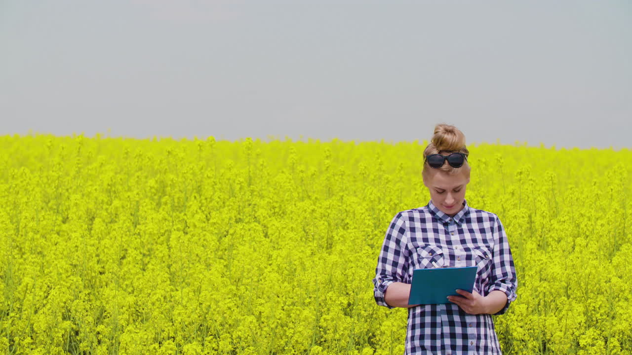 Blooming rapeseed field in rural landscape