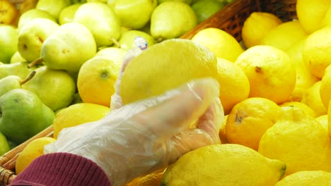 young attractive woman picks ripe organic lemons in the supermarket during quarantine. young woman chooses organic lemons in the supermarket. close-up of a young woman's hand in a protective glove, she chooses organic lemons in a supermarket