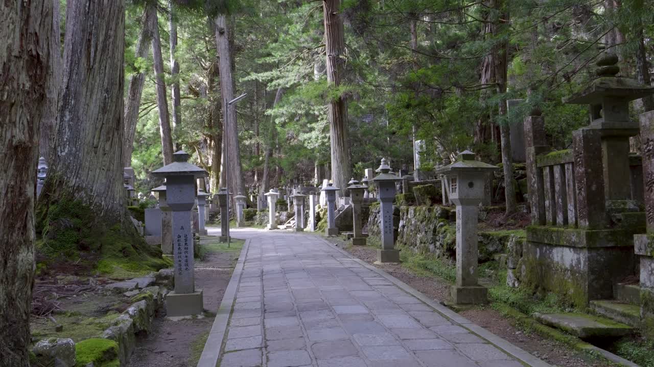 일본 코야산의 신비한 숲을 걸어보는 놀라운 느린 동작