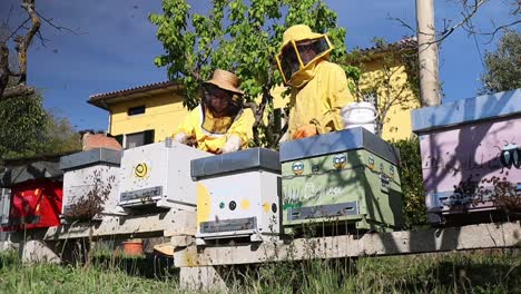 Ein-Pensioniertes-älteres-Imkerpaar,-Das-Auf-Einer-Bienenfarm-In-Mittelitalien-Arbeitet