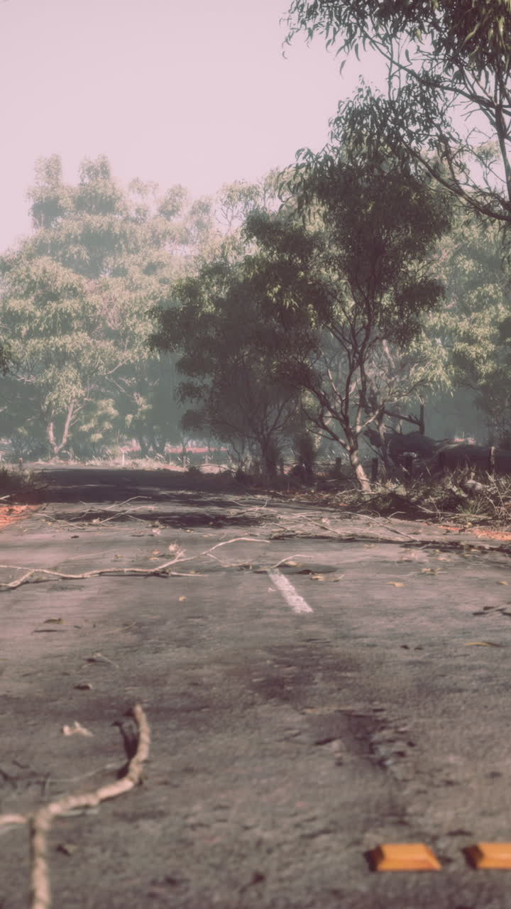 안개 숲 을 가로질러 버려진 길