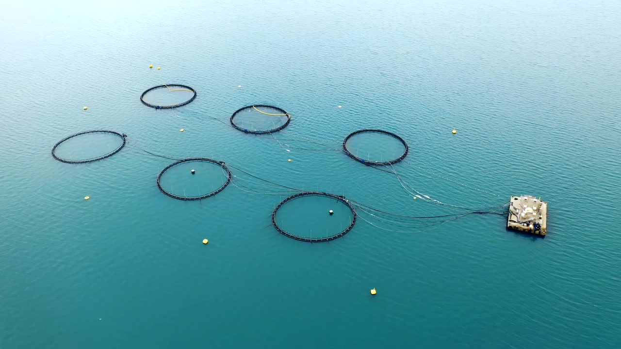 노르웨이에서 연어  ⁇ 시를 하는 공중 촬영