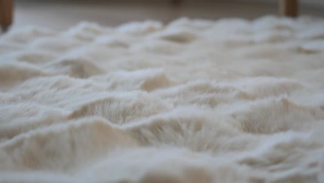 close-up of a fluffy white rug