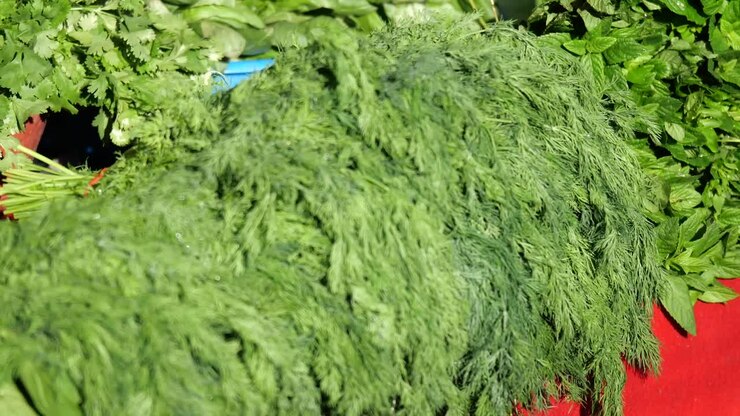 Aneto Fresco e Menta al Mercato