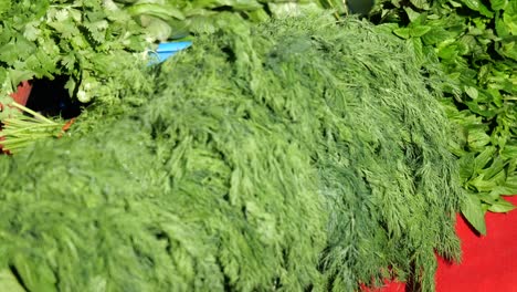 fresh dill and mint at a market