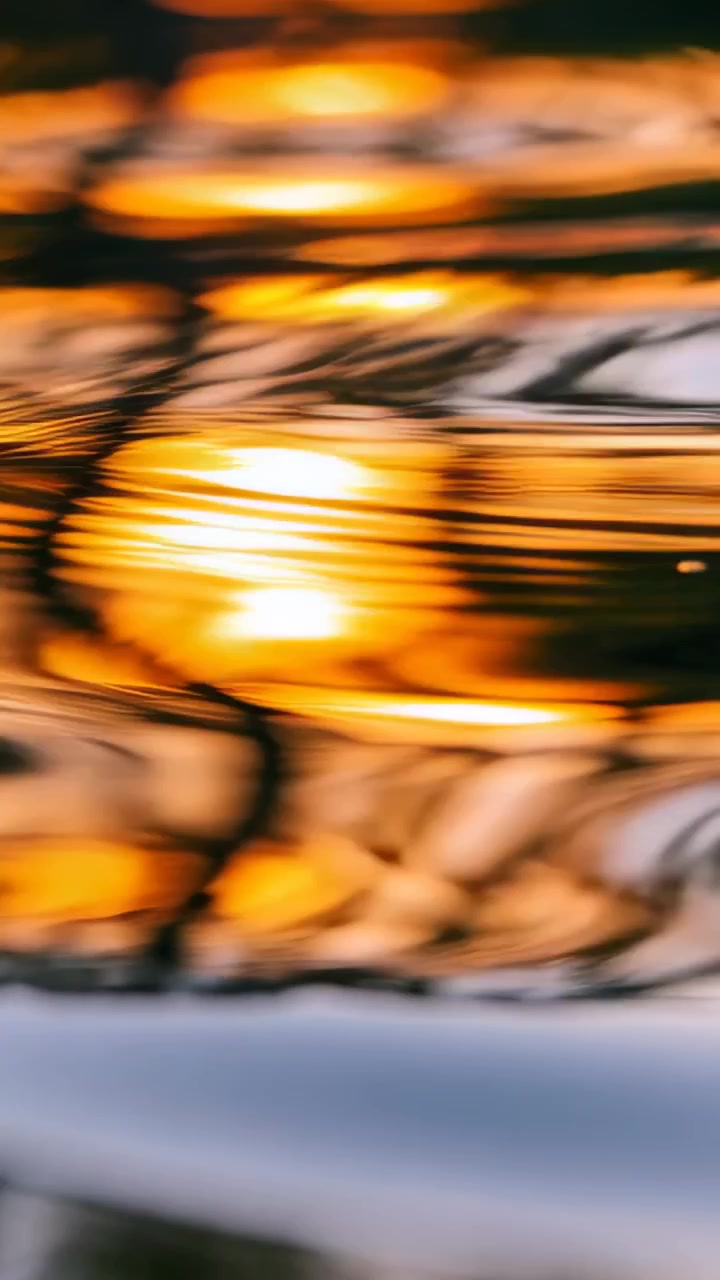 Video verticale: Onde increspate sull'acqua che allungano striature dorate e piegano rami al tramonto
