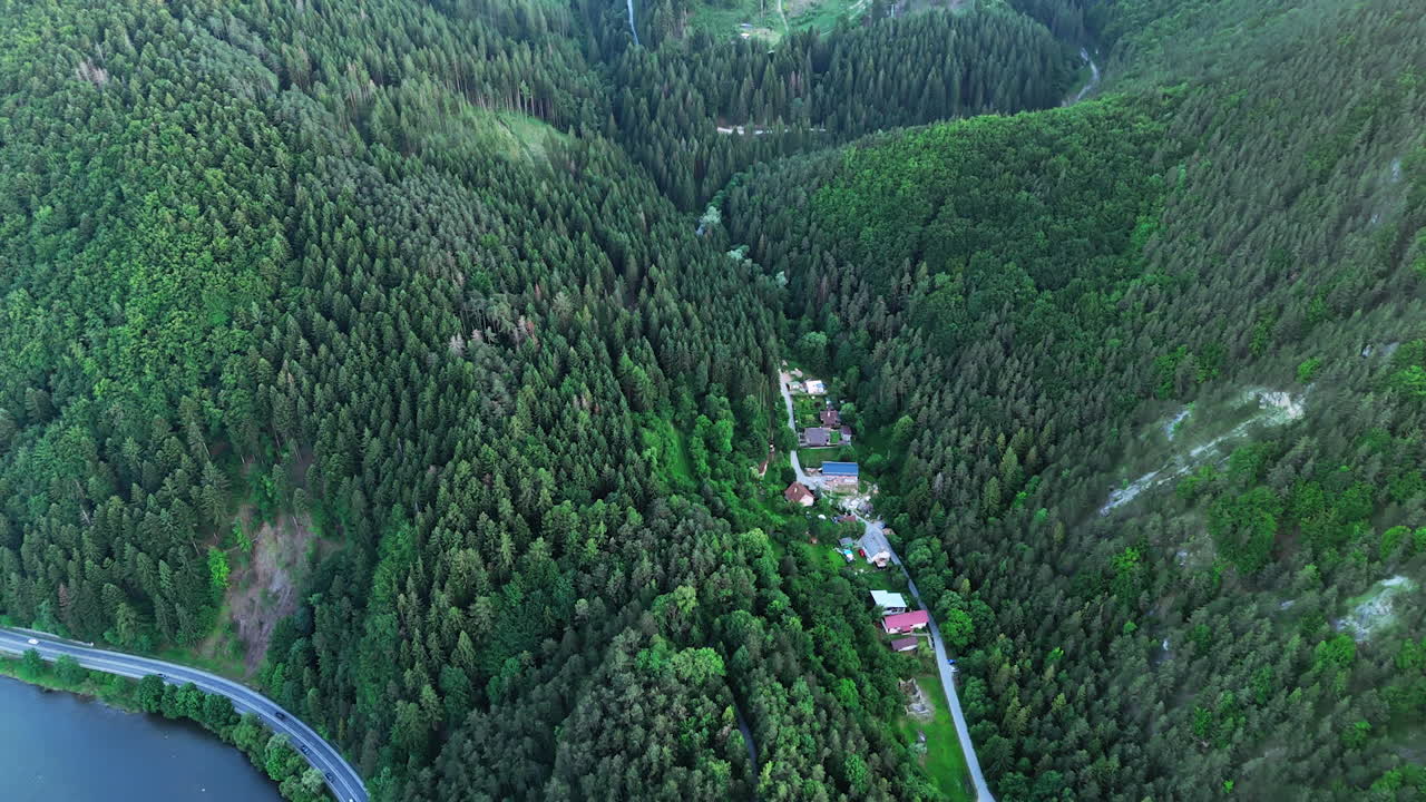Majestic forest landscape in rural area. Lush green forests stretch across the valley, with small houses nestled among tall trees under clear skies