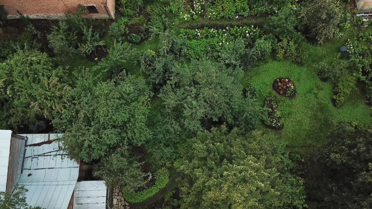 vista aérea de un exuberante jardín del patio trasero