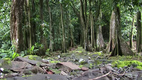 Opunohu-Restored-Archeological-site-in-Moorea,-French-Polynesia