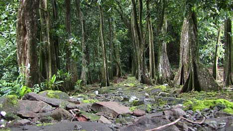 sitio arqueológico restaurado de opunohu en moorea, polinesia francesa