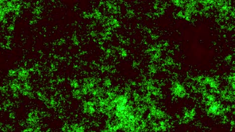 animation of green glimmering particles on black background