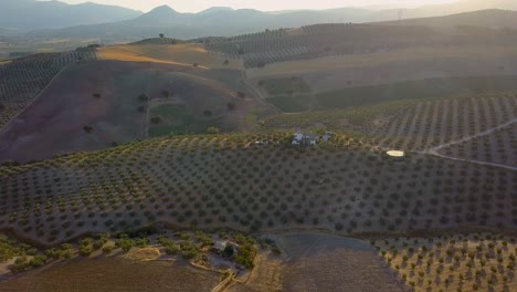 aerial shot during the sunset of olive fields with a white house and sun beams in the south of spain