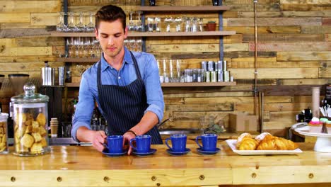 portrait of waiter working at counter