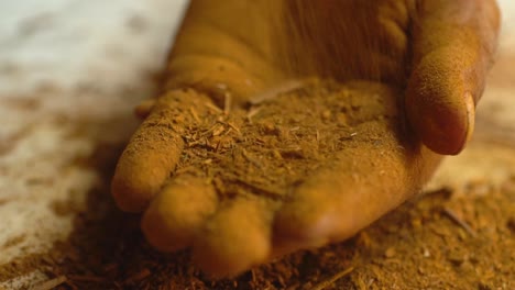 hands sprinkling madder powder during production process from dried plant roots