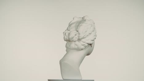 ancient greek/roman style bust