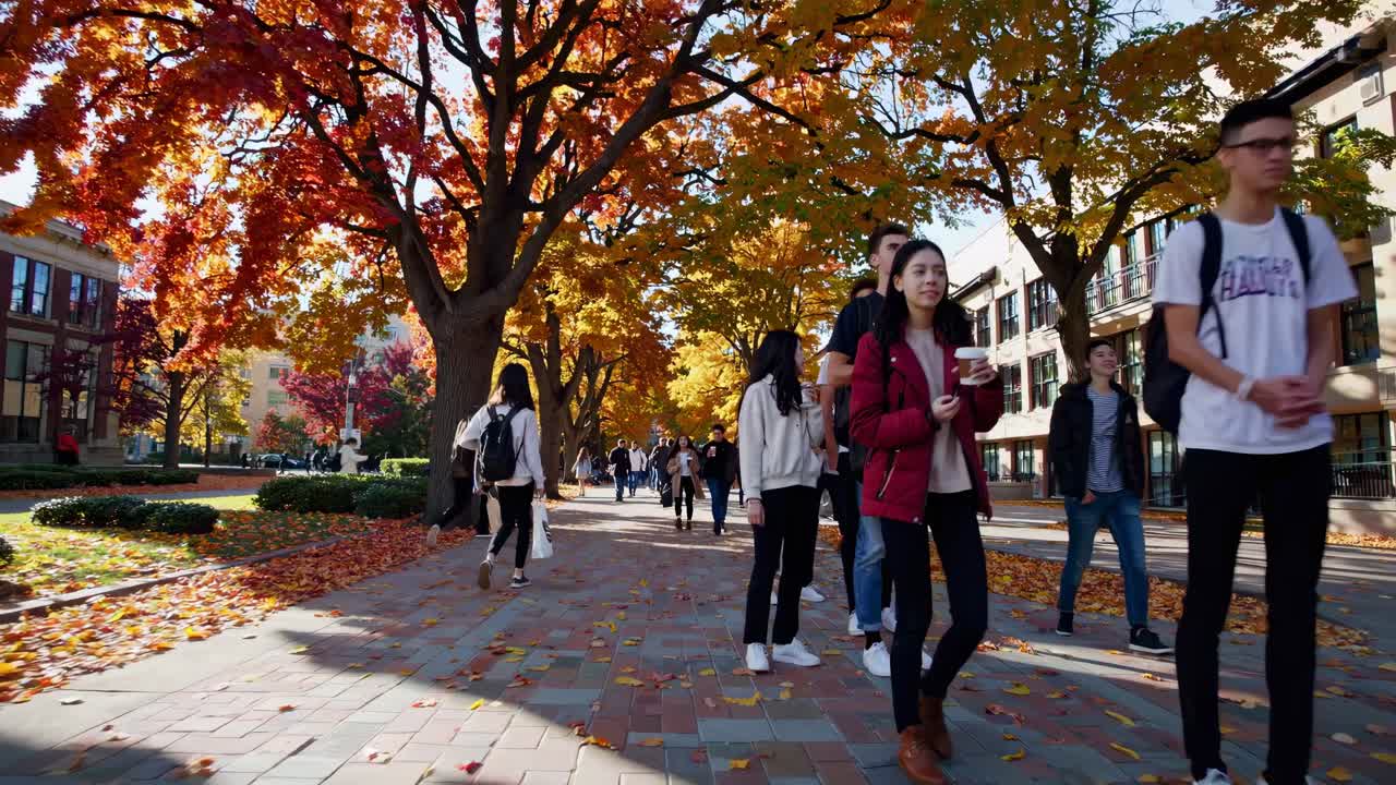 People walking on a tree-lined path with autumn leaves. Diverse group enjoying fall weather. Autumn