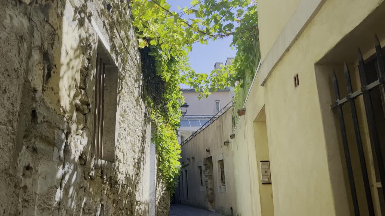 Piccola strada in Francia con pianta di vite al sole, case in pietra, piccolo vicolo stretto, molte porte d'ingresso e finestre