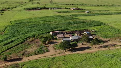 Die-Zurückweichende-Luftneigung-Zeigt-Ein-Ländliches-Afrikanisches-Bauernhaus-In-Leuchtendem-Grün