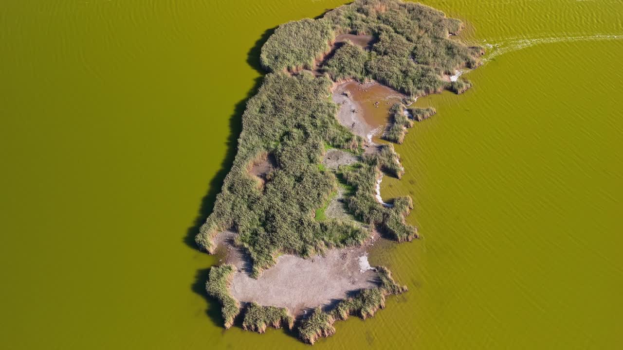 Orbital drone shot circling around a reed-covered island on Lake Velence, Hungary, highlighting its unique shape, muddy patches, and natural textures in calm green water