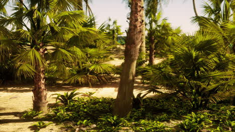 escena de playa tropical con palmeras