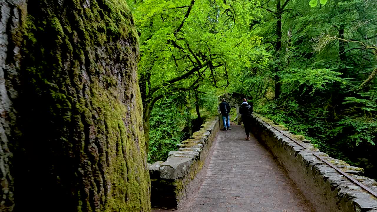 una pareja caminando por un puente de bosque exuberante.
