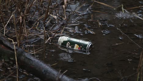 discarded aluminium drinks can floating at edge of pond in rain