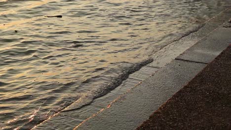 Wellen-Im-Fluss-Treffen-Auf-Das-Ufer